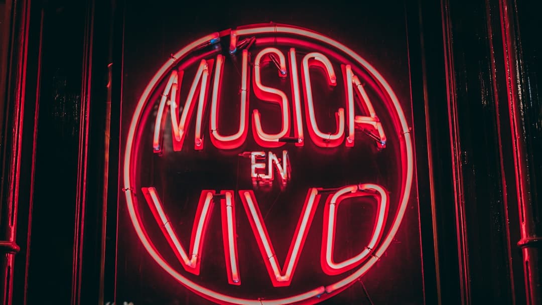 The Voice Over Artist vs The Voice Over Professional: A Critical